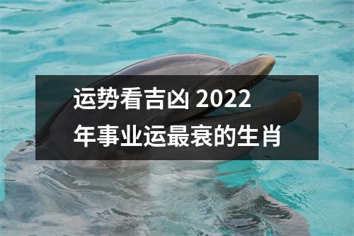 运势看吉凶2025年事业运衰的生肖