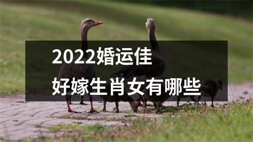 2022婚运佳好嫁生肖女有哪些