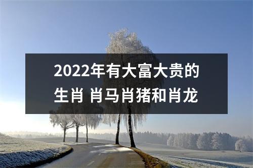 2022年有大富大贵的生肖肖马肖猪和肖龙