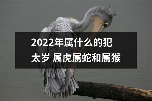 2022年属什么的犯太岁属虎属蛇和属猴