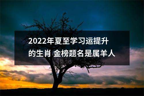 2022年夏至学习运提升的生肖金榜题名是属羊人