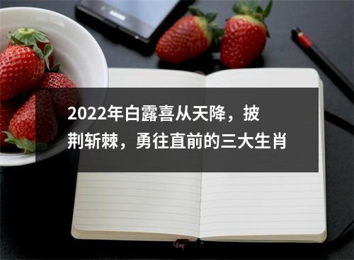 <h3>2025年白露喜从天降，披荆斩棘，勇往直前的三大生肖