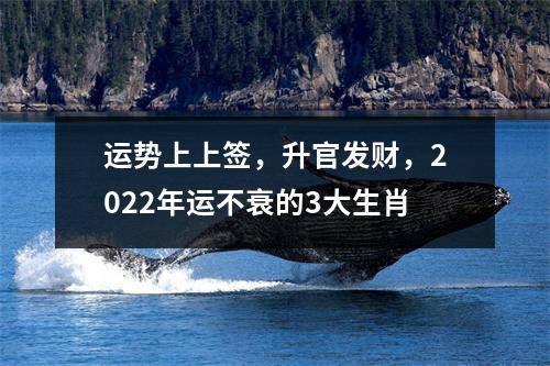 运势上上签，升官发财，2022年运不衰的3大生肖