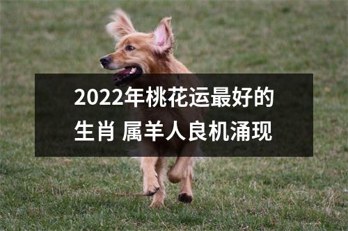 2022年桃花运好的生肖属羊人良机涌现