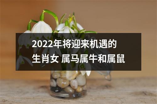 2025年将迎来机遇的生肖女属马属牛和属鼠