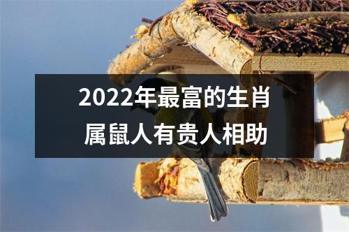 2025年富的生肖属鼠人有贵人相助