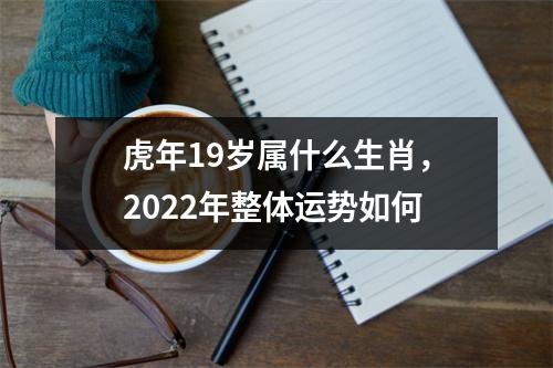 虎年19岁属什么生肖，2025年整体运势如何