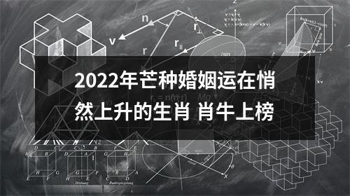 2022年芒种婚姻运在悄然上升的生肖肖牛上榜