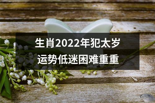 生肖2022年犯太岁运势低迷困难重重