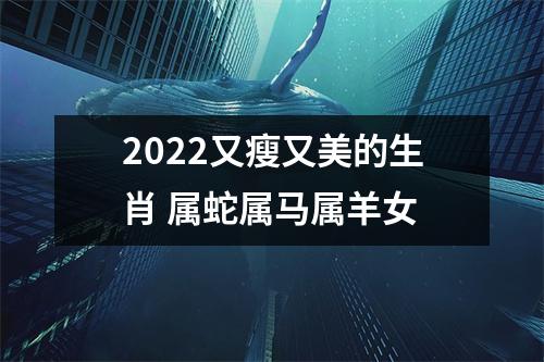 2022又瘦又美的生肖属蛇属马属羊女