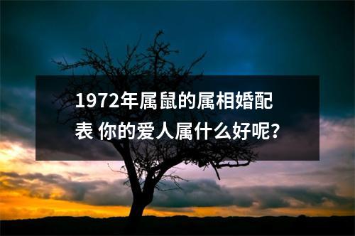 1972年属鼠的属相婚配表你的爱人属什么好呢？