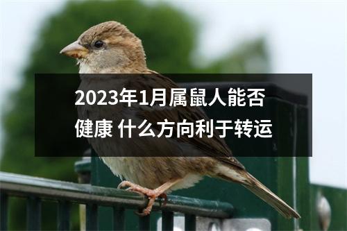 2025年1月属鼠人能否健康什么方向利于转运