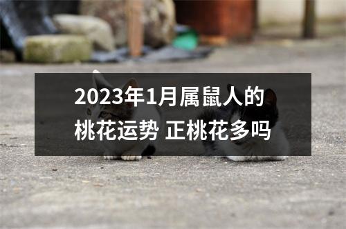 2025年1月属鼠人的桃花运势正桃花多吗