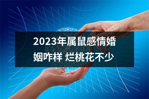 2025年属鼠感情婚姻咋样烂桃花不少