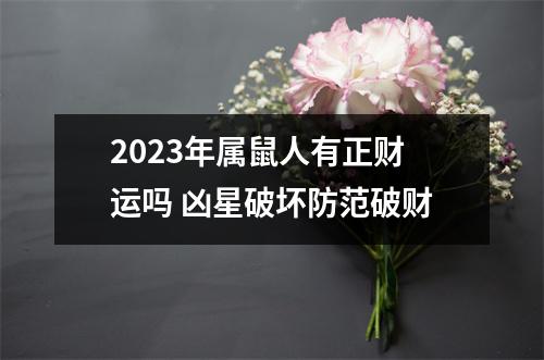 2025年属鼠人有正财运吗凶星破坏防范破财