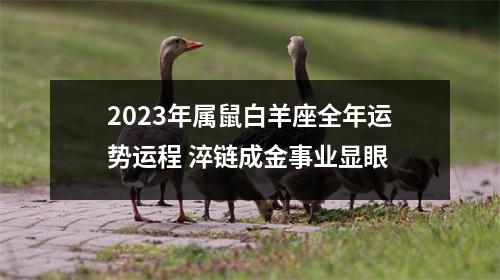 2025年属鼠白羊座全年运势运程淬链成金事业显眼