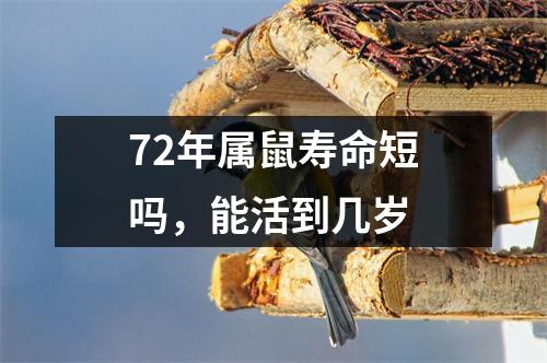 72年属鼠寿命短吗，能活到几岁