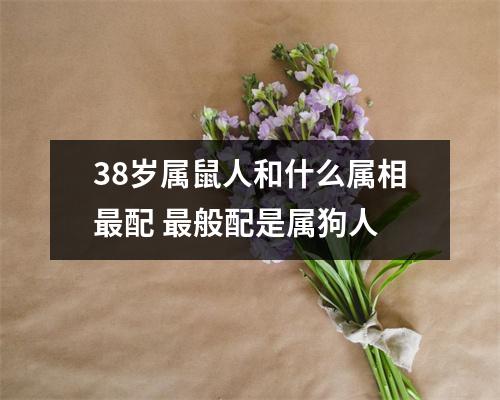 38岁属鼠人和什么属相配般配是属狗人