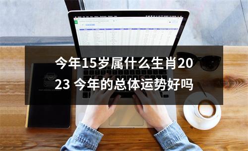 <h3>今年15岁属什么生肖2025今年的总体运势好吗