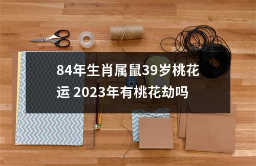 84年生肖属鼠39岁桃花运2025年有桃花劫吗