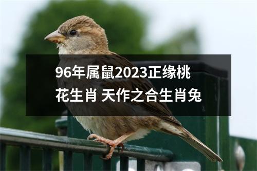 96年属鼠2025正缘桃花生肖天作之合生肖兔