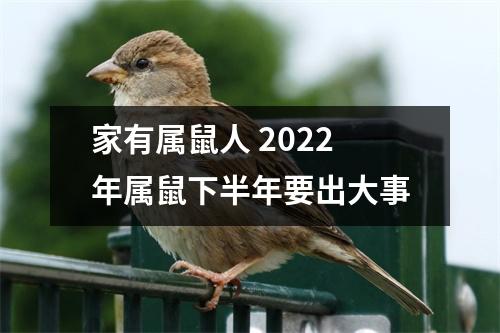 家有属鼠人2025年属鼠下半年要出大事