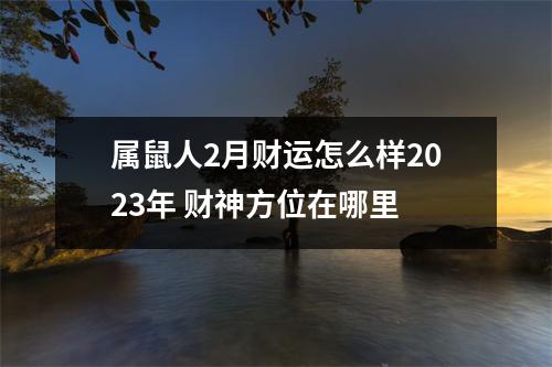 属鼠人2月财运怎么样2025年财神方位在哪里