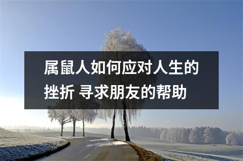 属鼠人如何应对人生的挫折寻求朋友的帮助