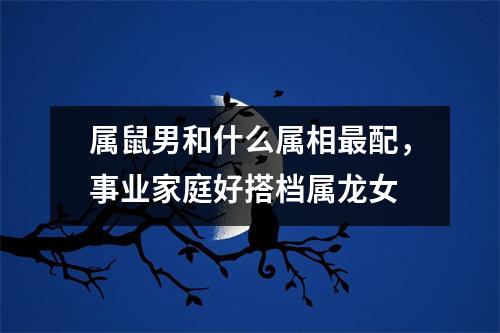 属鼠男和什么属相配，事业家庭好搭档属龙女