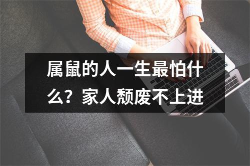 属鼠的人一生怕什么？家人颓废不上进