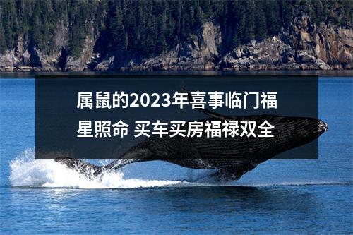 属鼠的2025年喜事临门福星照命买车买房福禄双全