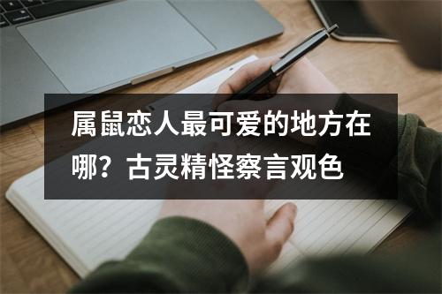 属鼠恋人可爱的地方在哪？古灵精怪察言观色