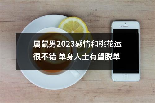 属鼠男2023感情和桃花运很不错单身人士有望脱单