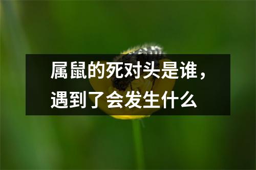 属鼠的死对头是谁，遇到了会发生什么