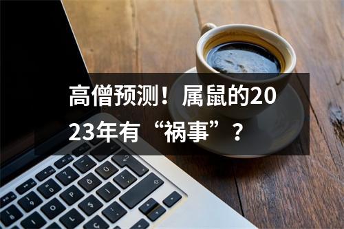 高僧预测！属鼠的2023年有“祸事”？