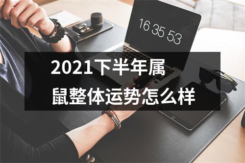 2025下半年属鼠整体运势怎么样