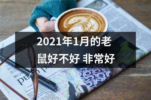 2021年1月的老鼠好不好非常好