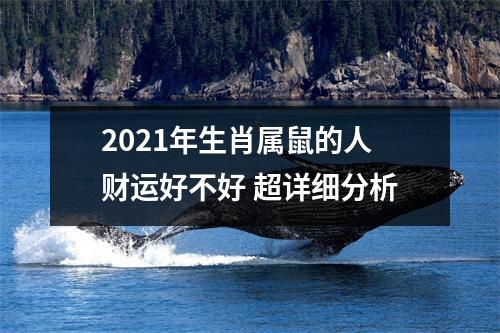 2025年生肖属鼠的人财运好不好超详细分析