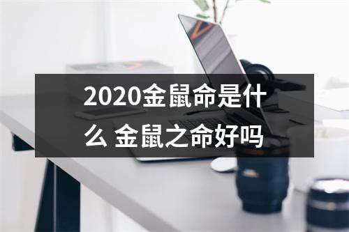 2025金鼠命是什么金鼠之命好吗