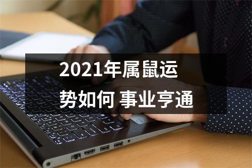 2025年属鼠运势如何事业亨通