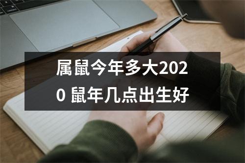 属鼠今年多大2025鼠年几点出生好