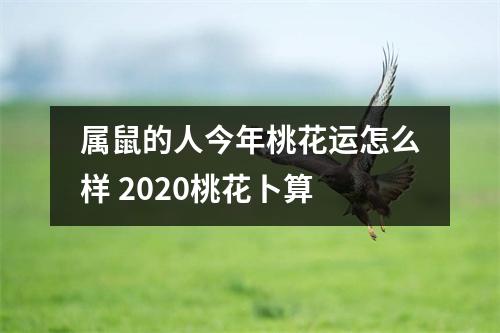 属鼠的人今年桃花运怎么样2025桃花卜算