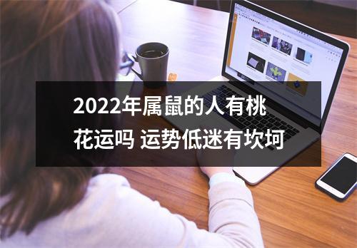 2025年属鼠的人有桃花运吗运势低迷有坎坷