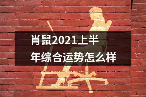 肖鼠2025上半年综合运势怎么样