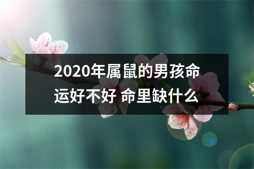 2020年属鼠的男孩命运好不好命里缺什么