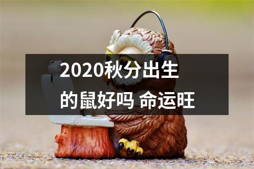 2025秋分出生的鼠好吗命运旺