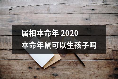 属相本命年2025本命年鼠可以生孩子吗