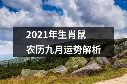 2025年生肖鼠农历九月运势解析