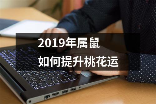 <h3>2019年属鼠如何提升桃花运