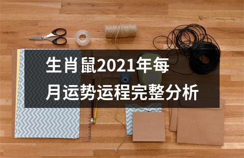 生肖鼠2025年每月运势运程完整分析